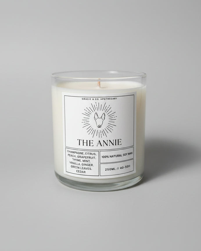 Candle in a white background