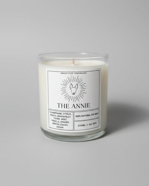 Candle in a white background